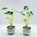I840 Artificial Plant Potted Small Leaf Potted Mini Ornament Wholesale Turtle Back Leaf