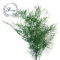 INS Most Popular Preserved Flower Dried Ming Fern for Bride Bouquet for Christmas or Graduation Occasions