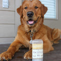 Stocked Paw Nose Balm for Dogs and Cats Dry Cracked Paws Relief Nose Butter Wax