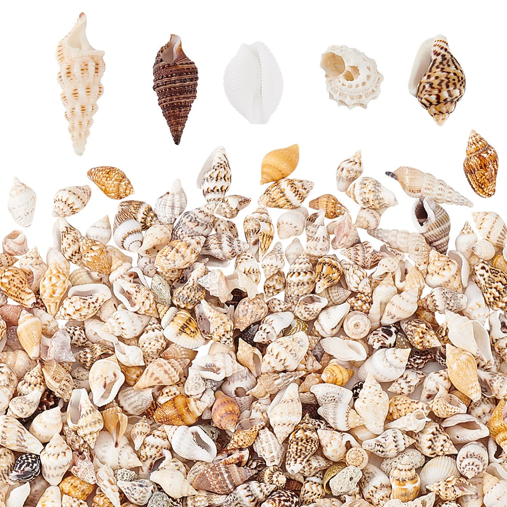 Pandahall 1400~1500pcs/box Mixed Ocean Sea Shells Natural Seashells Spiral Shell Beads