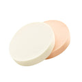 FX-T283 Large Size 9*1.5cm Wet&Dry Foundation Facial Sponge High-Density Foam Powder Puff Beauty Tool for Face Makeup Wholesales