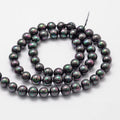 Pandahall Grade a Rainbow Plated Round Black Shell Pearl Beads High Quality Coral Bone & Shell Beads