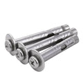 OEM Manufacture Stainless Steel Cross Recessed Pan Head Expansion Sleeve Anchor Bolt