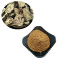 Chinese Pure Herbal Saussurea Costus P.e Powder Radix Saussurea Lappa Root Extract Costus Extract
