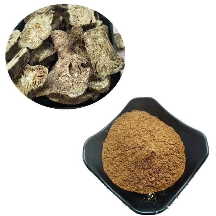 Chinese Pure Herbal Saussurea Costus P.e Powder Radix Saussurea Lappa Root Extract Costus Extract