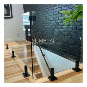 YL METAL Black Matt SS304 316 2205 Swimming Pool Fence Glass Spigot Railing