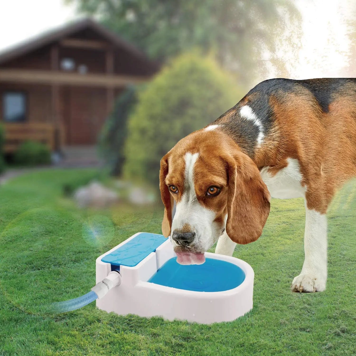 ALL-FOR-PAWS Auto Garden Outdoor Pet Drinking Fountain Dog Water Dispenser Dog Cat Water Feeder Pet Fountain