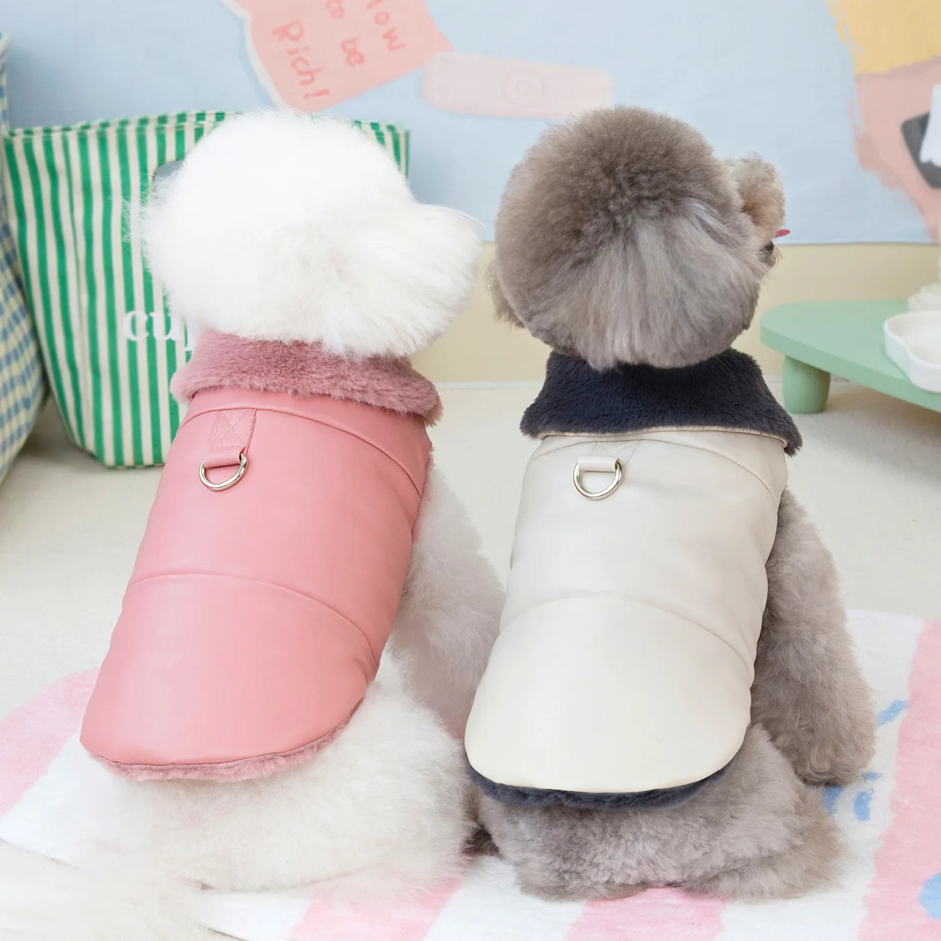 Quick Dispatch Ready to Ship Sustainable Waterproof Windproof Warm Padded Small Medium Large Fashion Outdoor Pet Dog Coat