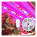 WELRGB LED 24 Watt Full Spectrum Indoor Gardening Kit 11.8 Feet/360 cm Plant Growing Light Strip IP65 Rated Water Proof 2-Year