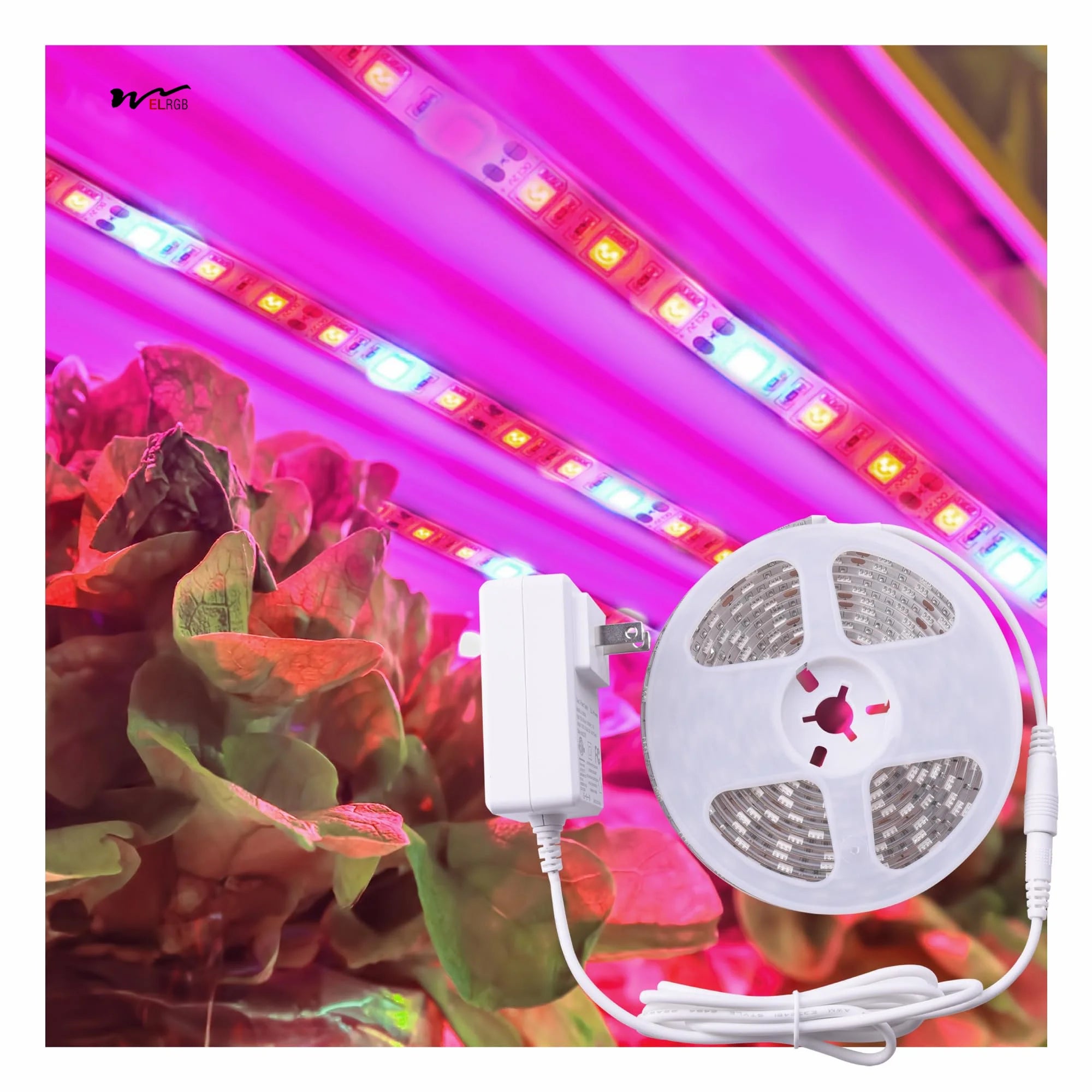 WELRGB LED 24 Watt Full Spectrum Indoor Gardening Kit 11.8 Feet/360 cm Plant Growing Light Strip IP65 Rated Water Proof 2-Year