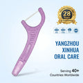 Customizable Double-Line Dental Floss Picks True OEM/ODM Partner with Private Label Branding Custom Packaging Charcoal Floss