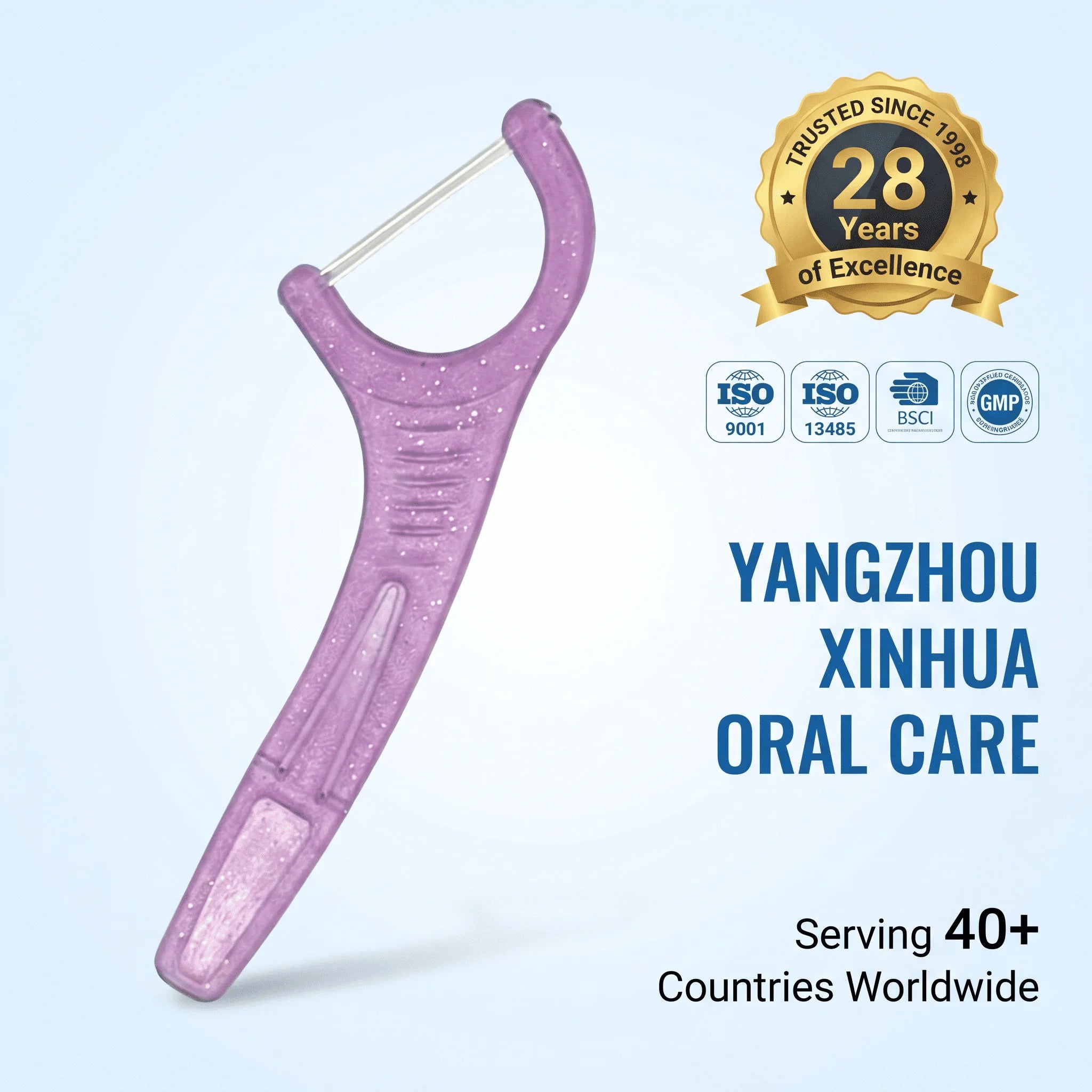 Customizable Double-Line Dental Floss Picks True OEM/ODM Partner with Private Label Branding Custom Packaging Charcoal Floss