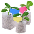 Non Woven Fabric Nursery Thickened Aeration Nursery Seedling Pots Garden Grow Seedling Planting Plant Flower Seed Starter Bags MegaBDM