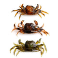 Oem Portable Paddle Tail Seasky Fishing Soft Bait Shad Plastics Lures Fishing Durability Artificial Fishing Accessories