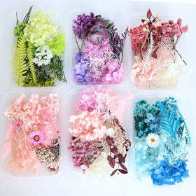 Hydrangea Dried Sargassum Chinese Round Hand Fan Artificial Flower DIY Kit Christmas DIY Preserved Flowers