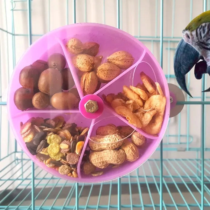 Wholesale Cute Small Parrot Bird Small Animal Food Storage