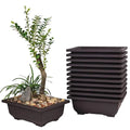 Factory  Bonsai Training Pots of 6 Inch-Classic Deep Humidity Trays with Built in Mesh-Plastic Square Pot for PlantsFlower