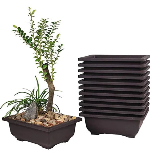 Factory  Bonsai Training Pots of 6 Inch-Classic Deep Humidity Trays with Built in Mesh-Plastic Square Pot for PlantsFlower