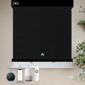 Alexa Zigbee Matter Electric Smart Home Luxury Decoration Remote Control Blackout Motorized Roller Shades Blinds for Window