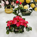 Natural Nephrite Bonsai Crystal Flower Gemstone Trees for Home Decoration