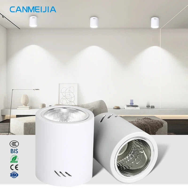 Black Commercial  Indoor Round Replaceable Surface Mounted Ceiling Led Downlight/Ceiling Lights/Down Lamp