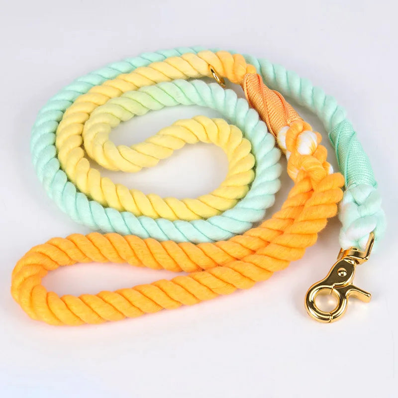 OKEYPETS Strong Dog Leash Manufacturer Professional Luxury Durable Multicolor Custom Gradient Horse Rope Dog Lead