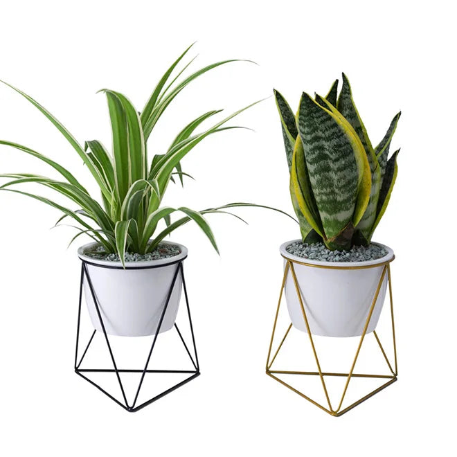 Hot Sale Modern Planter With Triangle Geometric Metal Rack Garden Plant Display Stand Holder for Succulent Planter Cactus