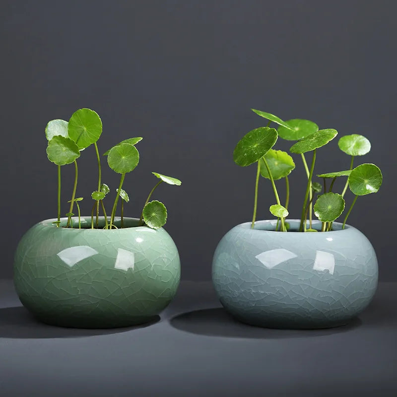 Unique Modern Luxury Small Ceramic Flower Vases Home Living Room Use Minimalist Tabletop Water Culture Decorations Flower Pots
