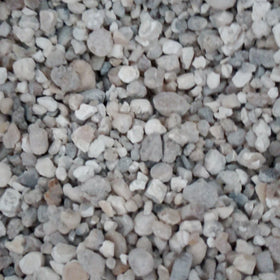 Tian Zhu Huang Pure Natural Tabasheer Bamboo Resin for Herbs