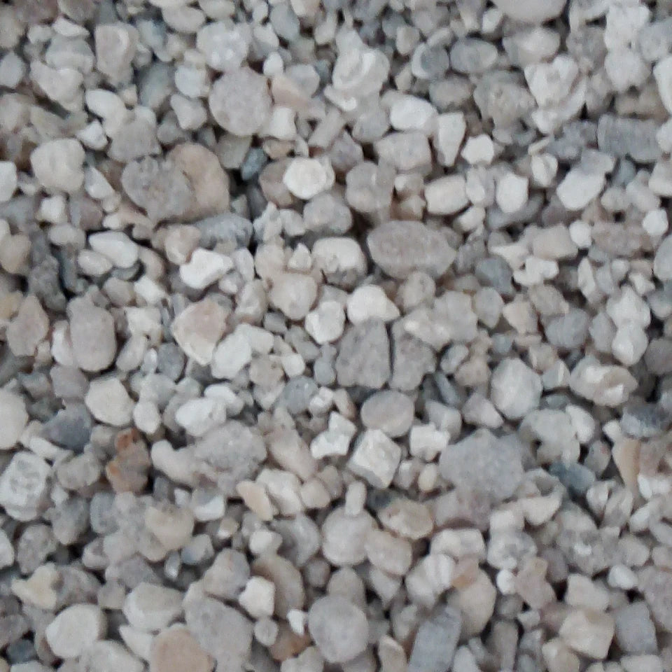 Tian Zhu Huang Pure Natural Tabasheer Bamboo Resin for Herbs