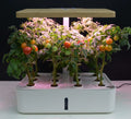 2023 New Intelligent Soil Cultivate Home Smart Hydroponic Garden Kit Automatic Water Absorption Cultivation Plant