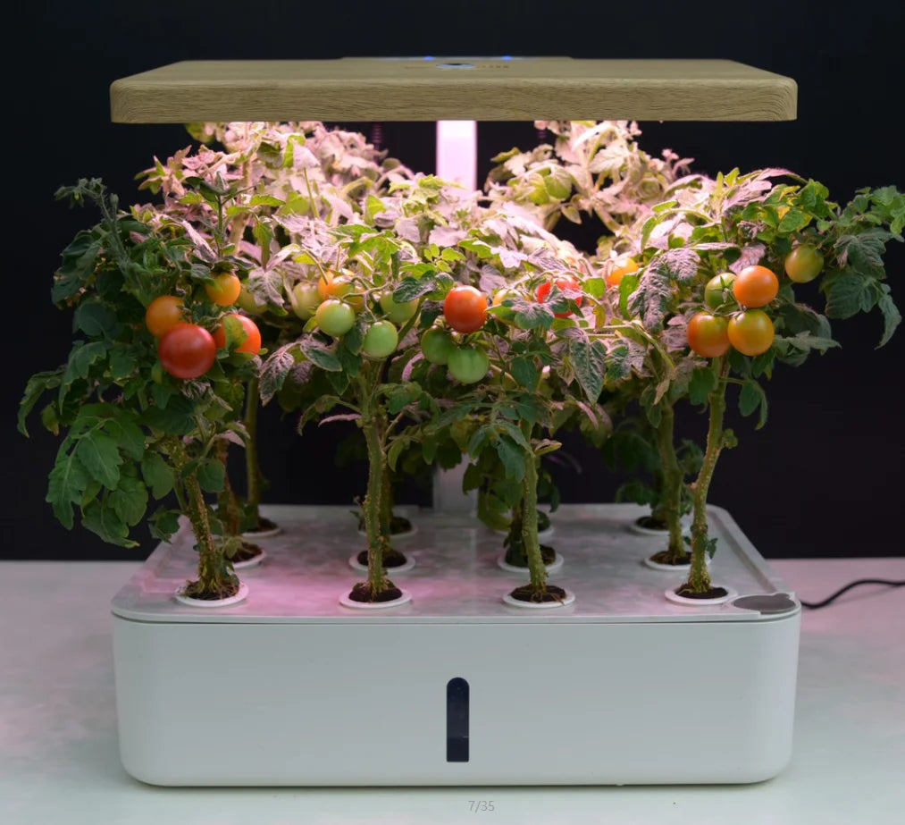 2023 New Intelligent Soil Cultivate Home Smart Hydroponic Garden Kit Automatic Water Absorption Cultivation Plant