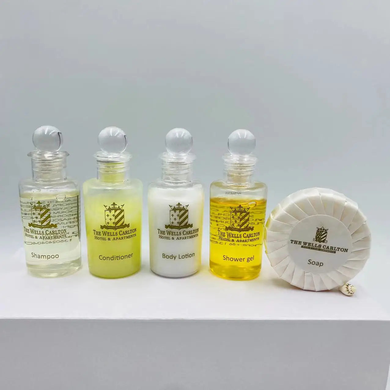 Luxury Hotel Disposable Natural Mini Shampoo and Conditioner for Hotels