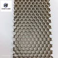 Steel and Aluminium Honeycomb Core Panels Anti-Static Fireproof for Hospital Bulkheads Train Doors Various Sizes for Various