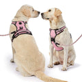 Luxury Soft Dog Harness Leash and Collar Set with Custom Logo No Pull Leather/Polyester/Nylon Solid Pattern