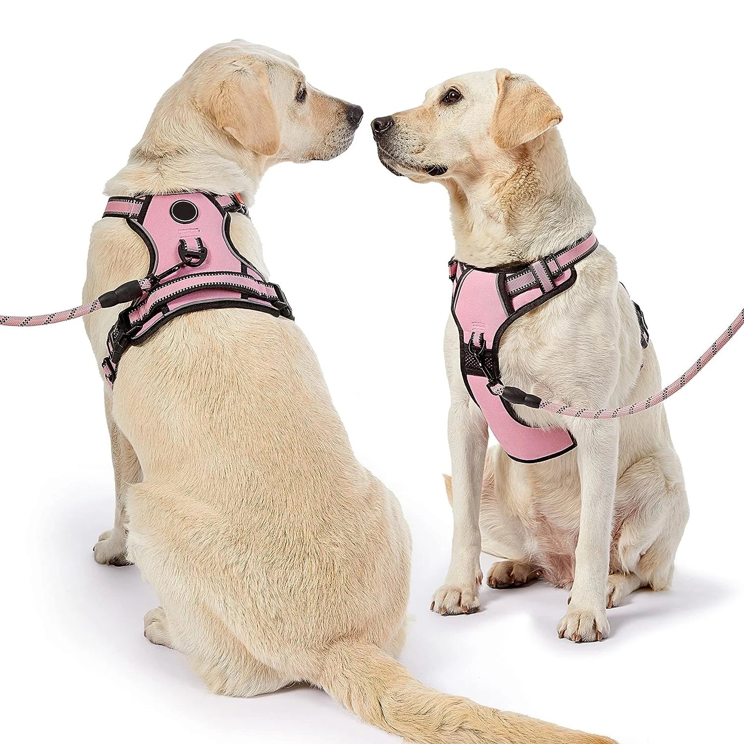 Luxury Soft Dog Harness Leash and Collar Set with Custom Logo No Pull Leather/Polyester/Nylon Solid Pattern