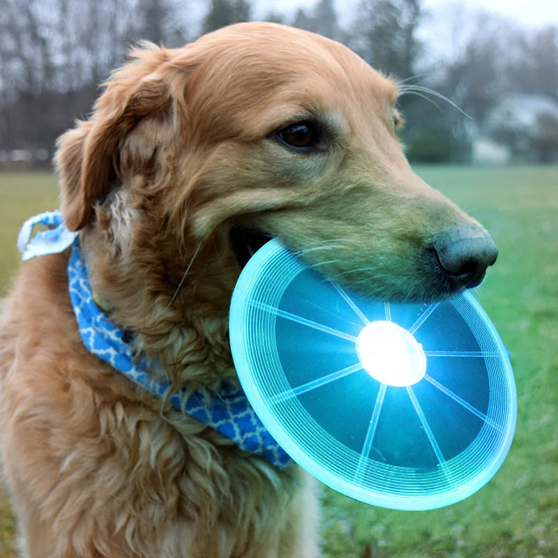 Light-Up Waterproof PU Dogs Electric Round Disc Durable Outdoor Interactive Dog Toys Glowing Led Flying Disc for Dogs