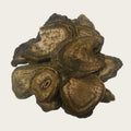 1059 Da Huang Good Quality Chinese Prepared Rhizoma Rhei Rhubarb Rheum Officinale Root