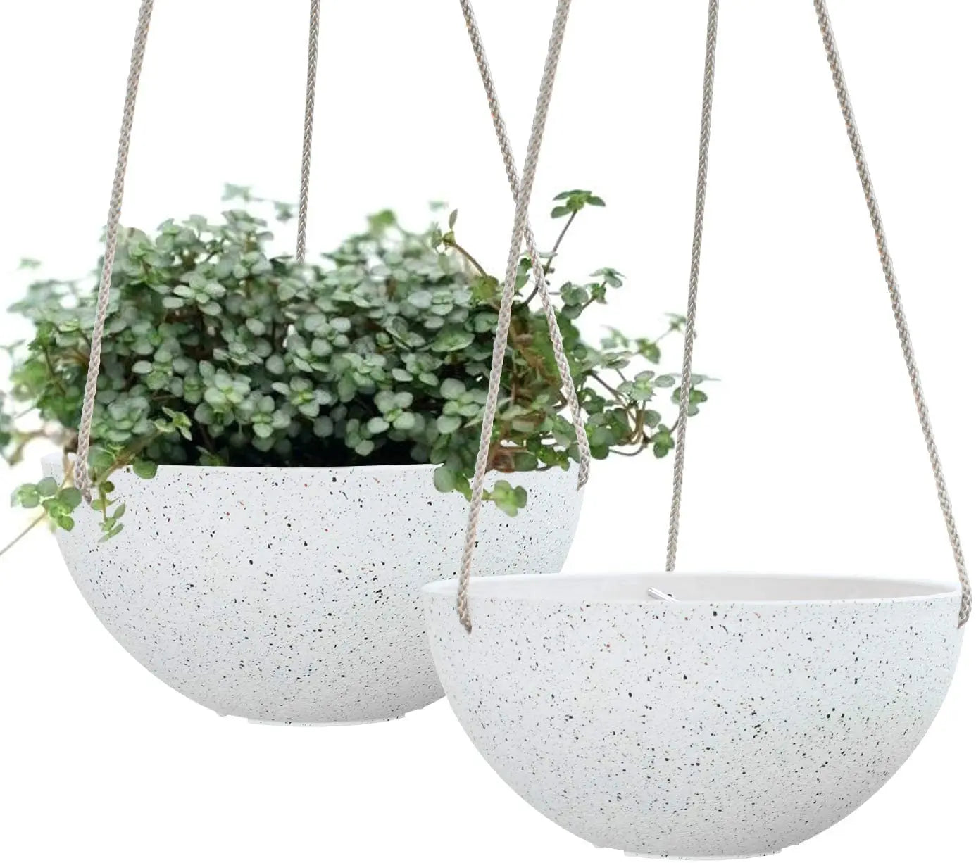 Pots Decorative Hanging Baskets Use on Balcony Plastic for Plants Flower Hot Sale Home and Garden Outdoor Eco-friendly 20pcs