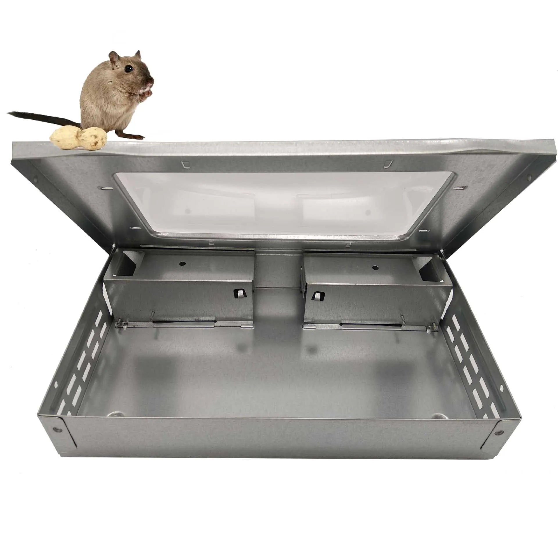 Hengsk Clear Window Orange Solid Eco-Friendly Galvanized Steel Powder Coating Mouse Trap Mouse Bucket Trap Model HSK-JM03