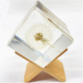 Creative New Resin Embedded Dandelion Crafts High Transparent Square Dandelion Dried Flower Ornament