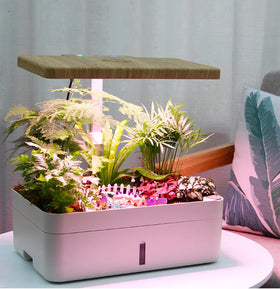 Hydroponic Garden Home Led Smart Vertical Growing Systems Microgreens Automatic Smart Electric Garden