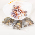 Love Wish Pearl Party Gift Vacuum-packed 10-13mm Aaaa Quality Loose Saltwater Round Cultured Edison Oyster