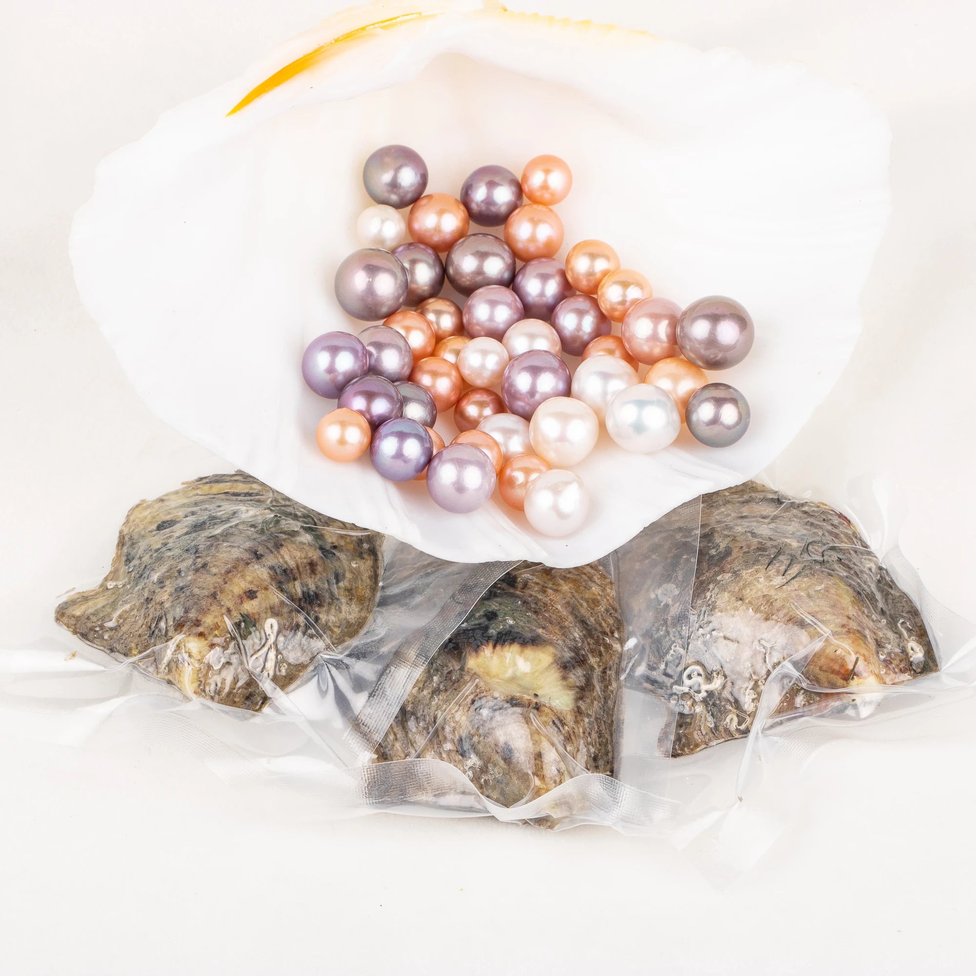 Love Wish Pearl Party Gift Vacuum-packed 10-13mm Aaaa Quality Loose Saltwater Round Cultured Edison Oyster