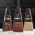 Custom Engraving Fire Shape Glass Crystal Trophies with Wooden Base MH-NJ00607