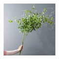 Quality Artificial Plant 11 Brunches Clematis Leaf for Wedding Greening Decoration