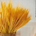 Single  Stem Natural Wheat Head Dry Flower Basket Flower Arrangement Wedding Decoration Opening and Housewarming Decoration