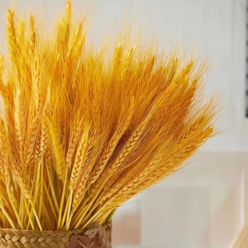 Single  Stem Natural Wheat Head Dry Flower Basket Flower Arrangement Wedding Decoration Opening and Housewarming Decoration