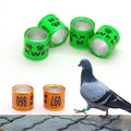 Bird Rings Tag Label 8mm Aluminium Birds Rings Pigeon Leg Bands Training Identification Foot Rings