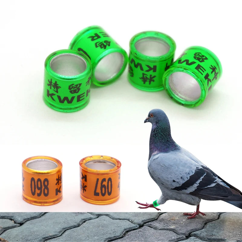 Bird Rings Tag Label 8mm Aluminium Birds Rings Pigeon Leg Bands Training Identification Foot Rings
